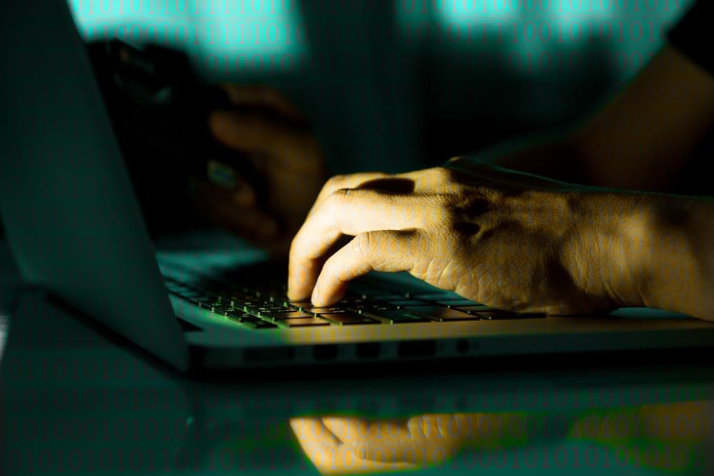 shutterstock 774267175